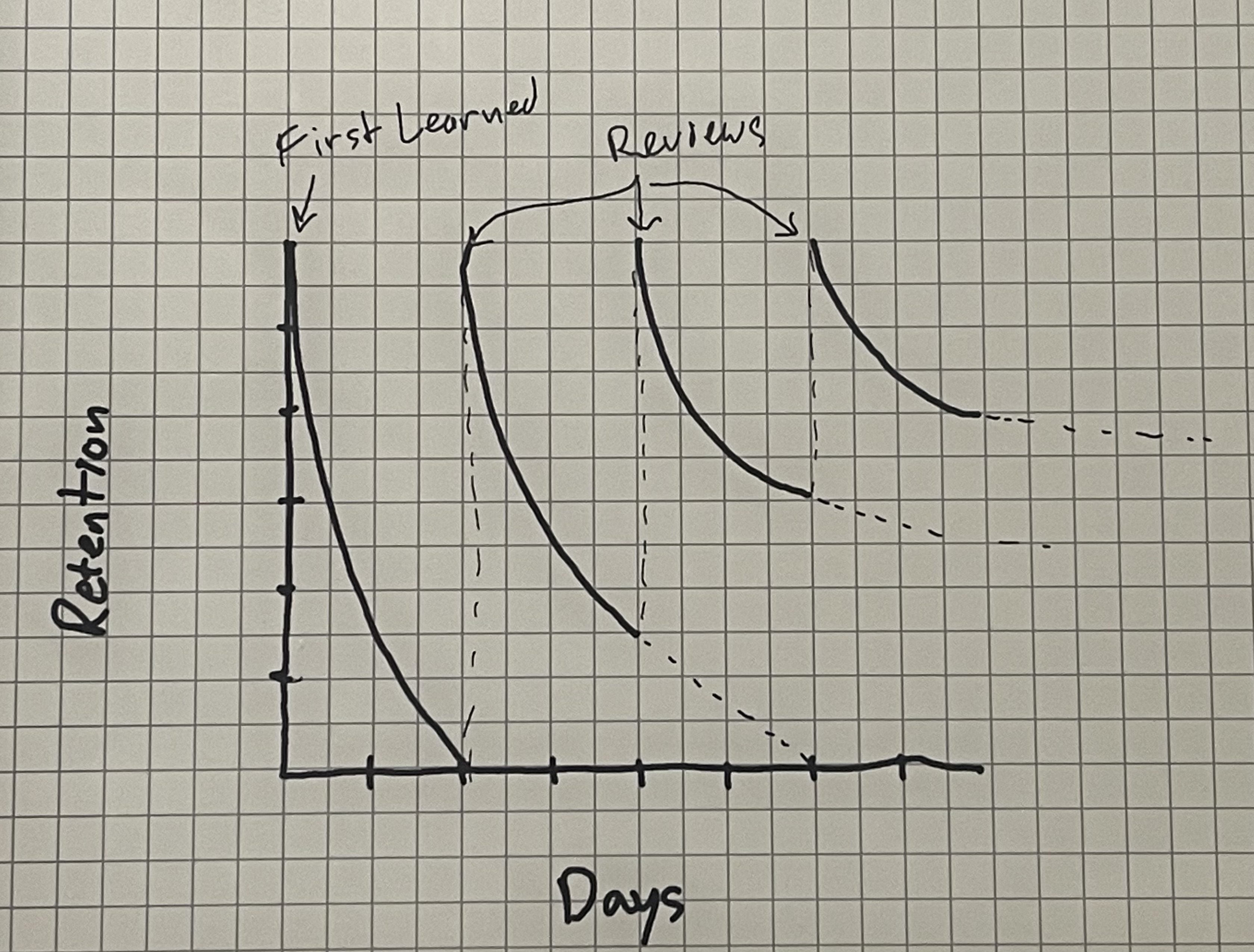 forgetting curve